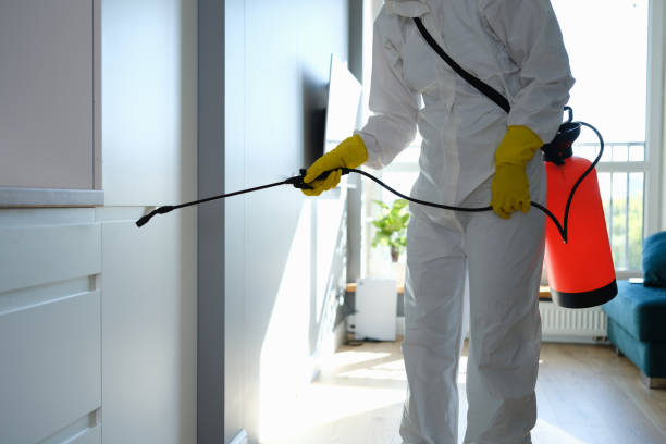 Best Mold Remediation for Specific Building Types in Parkwood, WA