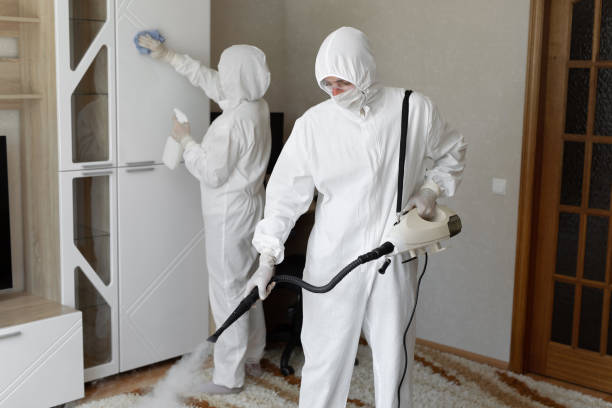 Professional Mold Remediation in Parkwood, WA